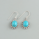 Sterling Silver Turquoise Earring Wholesale Silver Jewelry Supplier | Akrati Jewels Inc
