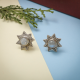 Floral Look Moonstone Silver Stud Earring Jewelery | Akrati Jewels Inc