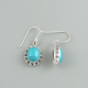 Sterling Silver Turquoise Earring Wholesale Silver Jewelry Supplier | Akrati Jewels Inc