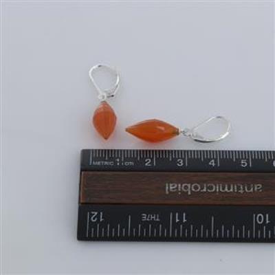 925 Sterling Silver Fancy Carnelian Earring Jewelry Exporter | Akrati Jewels Inc